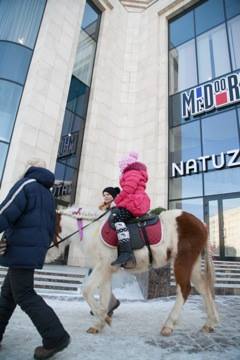 Mr.Doors на масленице, фото