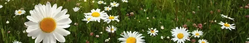 Продолжение акции «Скидка 25% на ВСЕ» в салонах компании Mr. Doors, фото