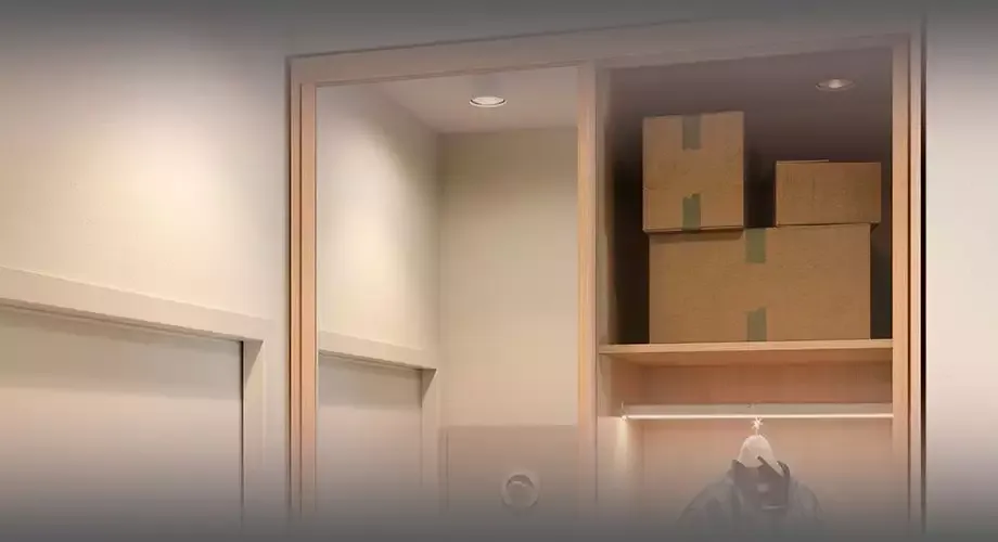 Как избавиться от жучков в шкафу