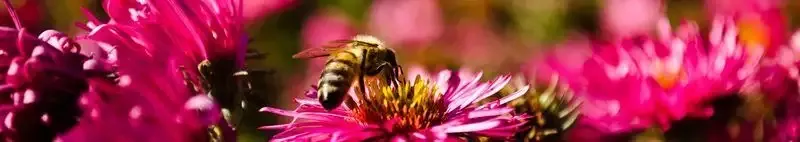 Продление акции «25% скидка на ВСЕ» в Mr. Doors, фото