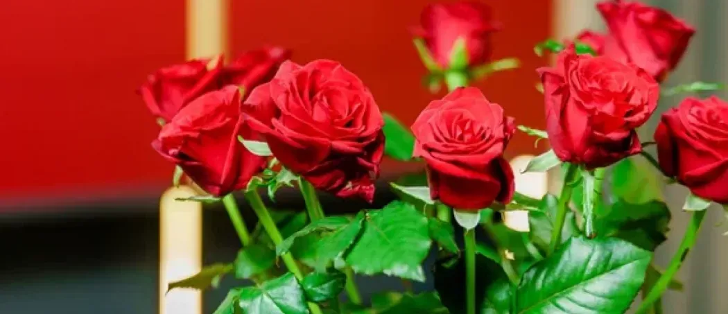 Поздравляем с праздником 8 Марта!