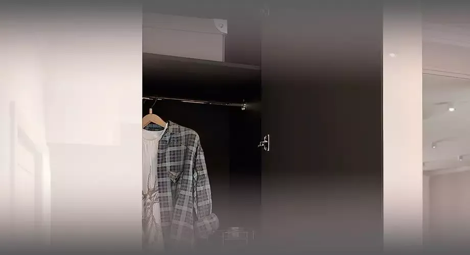 Как избавиться от моли в шкафу?