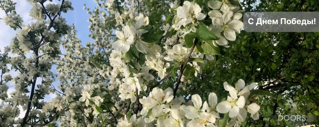 С Днем Победы!