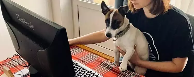 Как мы снимаем стресс в эти дни.