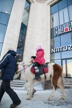 Mr.Doors на масленице, фото