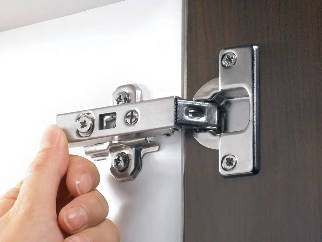 regp1.jpg вариант регулировки дверных петель*