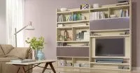 интерьер гостиной в бежевых тонах 