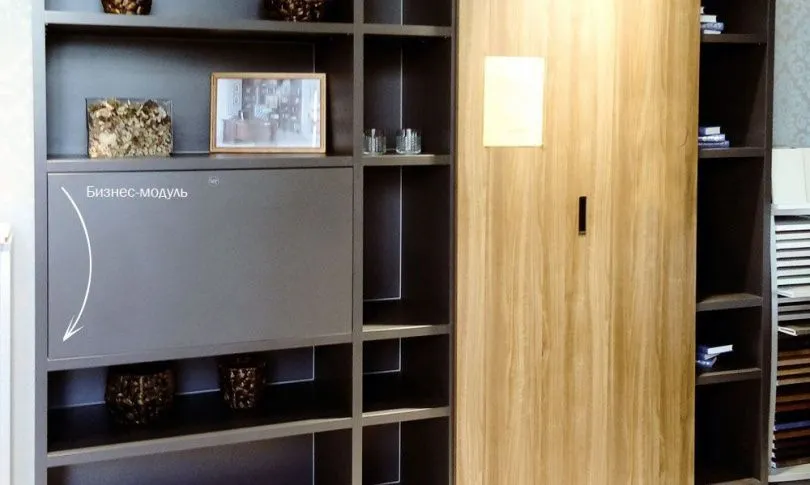 Гостиная (арт. 0100), мебель на заказ MrDoors