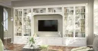 классическая гостиная с телевизором