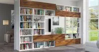 книжные полки в интерьере гостиной