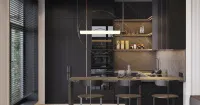 Кухня темная, коллекция SUNTORY PART M-L (арт. 289), мебель на заказ MrDoors