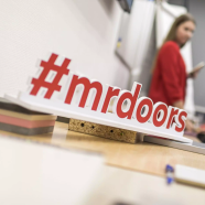 Голосуйте за Mr.Doors!