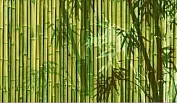 Бамбу зеленый