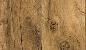 Дуб Хантон светлый