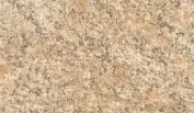 0139 Золотой гранит